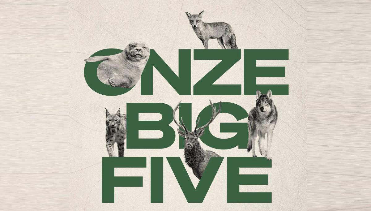 Onze Big Five