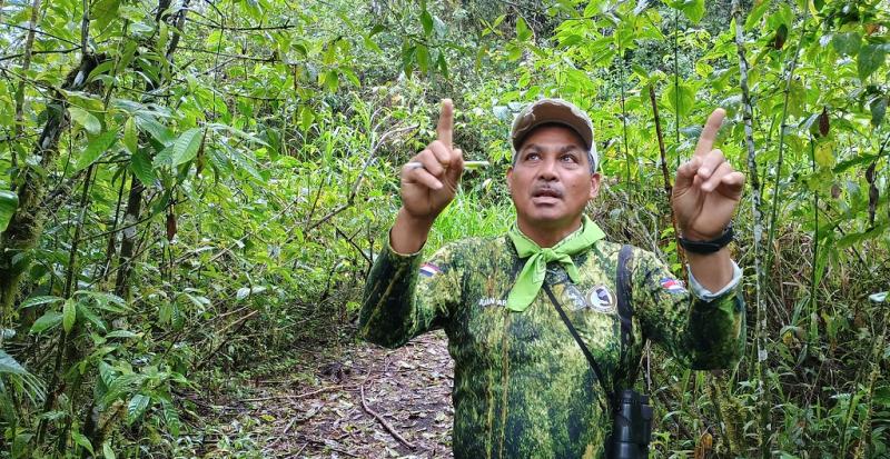 Latin-America leads the way on nature restoration