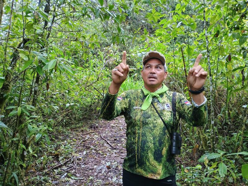 In Latijns-Amerika kan natuurherstel wél