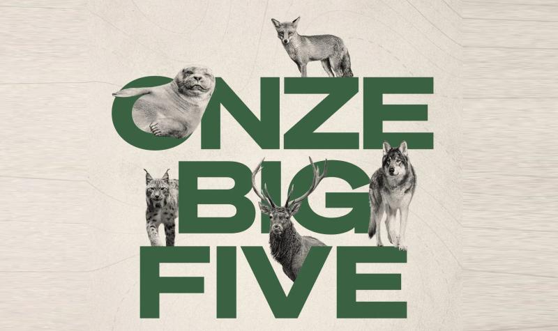 Onze Big Five