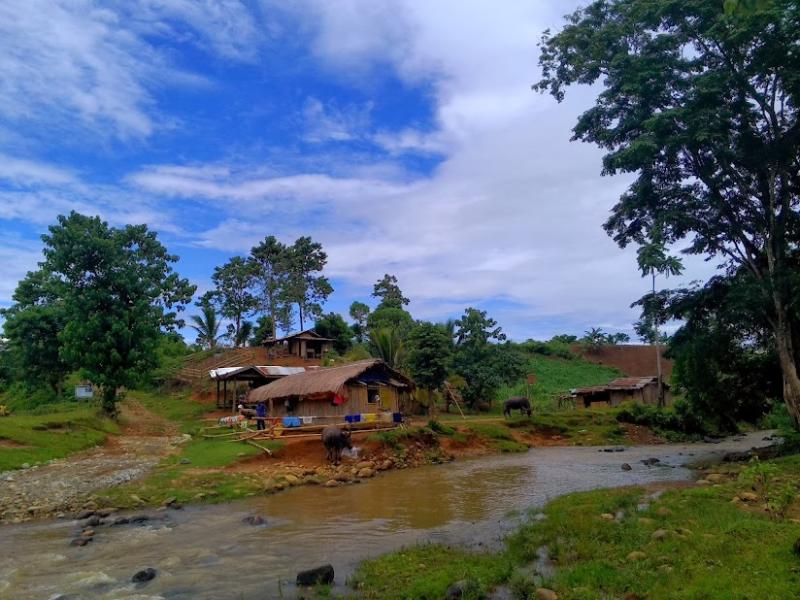 Filipijnse wouden: tombes voor de bioculturele diversiteit