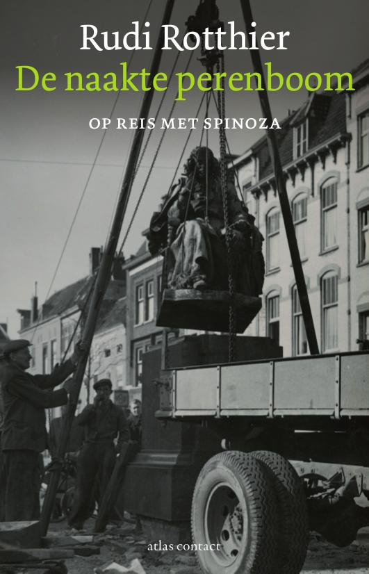 De naakte pereboom