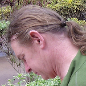 Jeroen Janssen