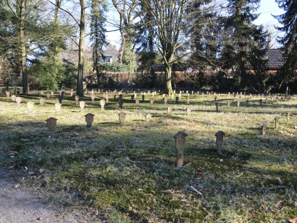 Vluchtelingen in Nederland, van de Belgen in 1914 tot Afghanen en Oekraïners nu