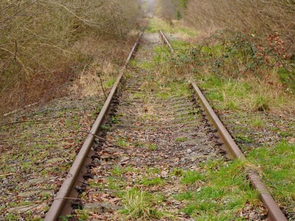 De Vlaams-Nederlandse treinen botsen op hun grenzen