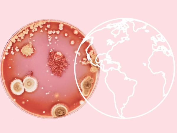 De stille pandemie van de antibioticaresistentie
