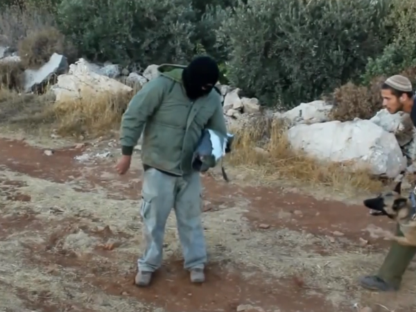Screenshot from an IDU video showing training dogs to attack Palestinians