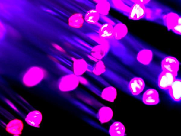 Fiberoptics