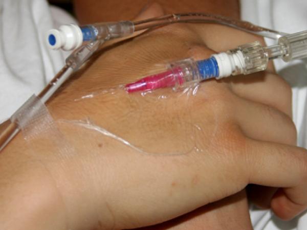 India's goedkope proefkonijnen